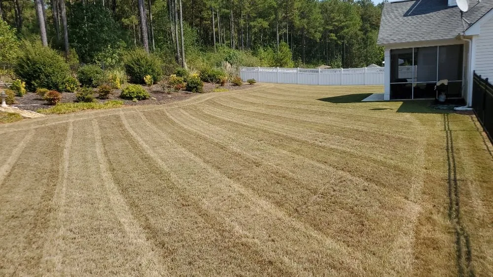 Expert lawn care service experts serving Newnan, GA - Country Cuttin Lawn Service