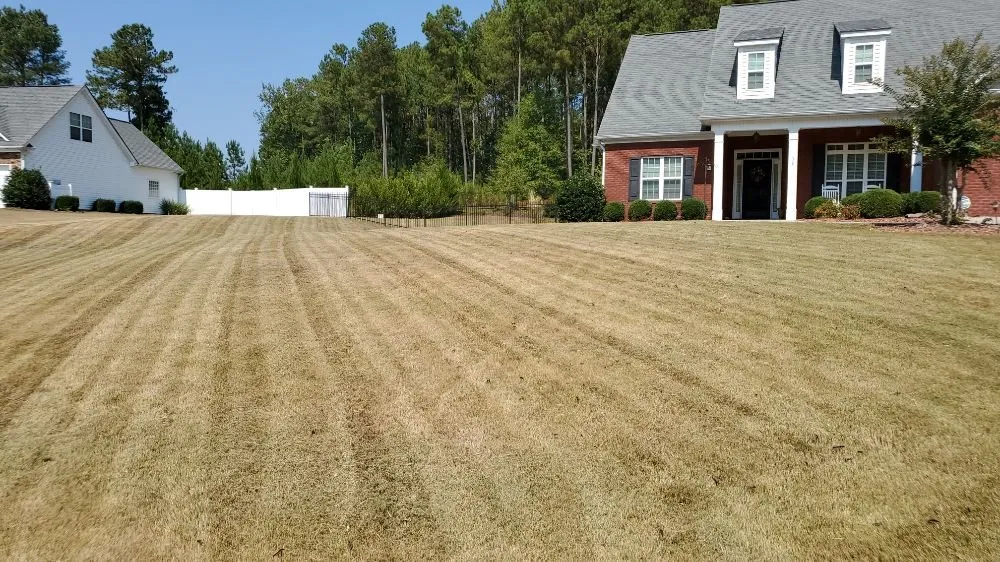 Professional residential landscaping in Newnan, GA by Country Cuttin Lawn Service