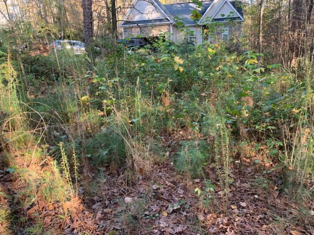 Top-rated lawn mowing service for year-round maintenance in Newnan, GA by Country Cuttin Lawn Service