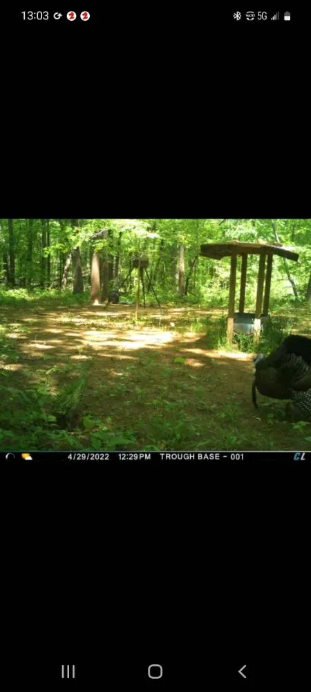 Professional lawn care service for year-round maintenance in Newnan, GA by Country Cuttin Lawn Service