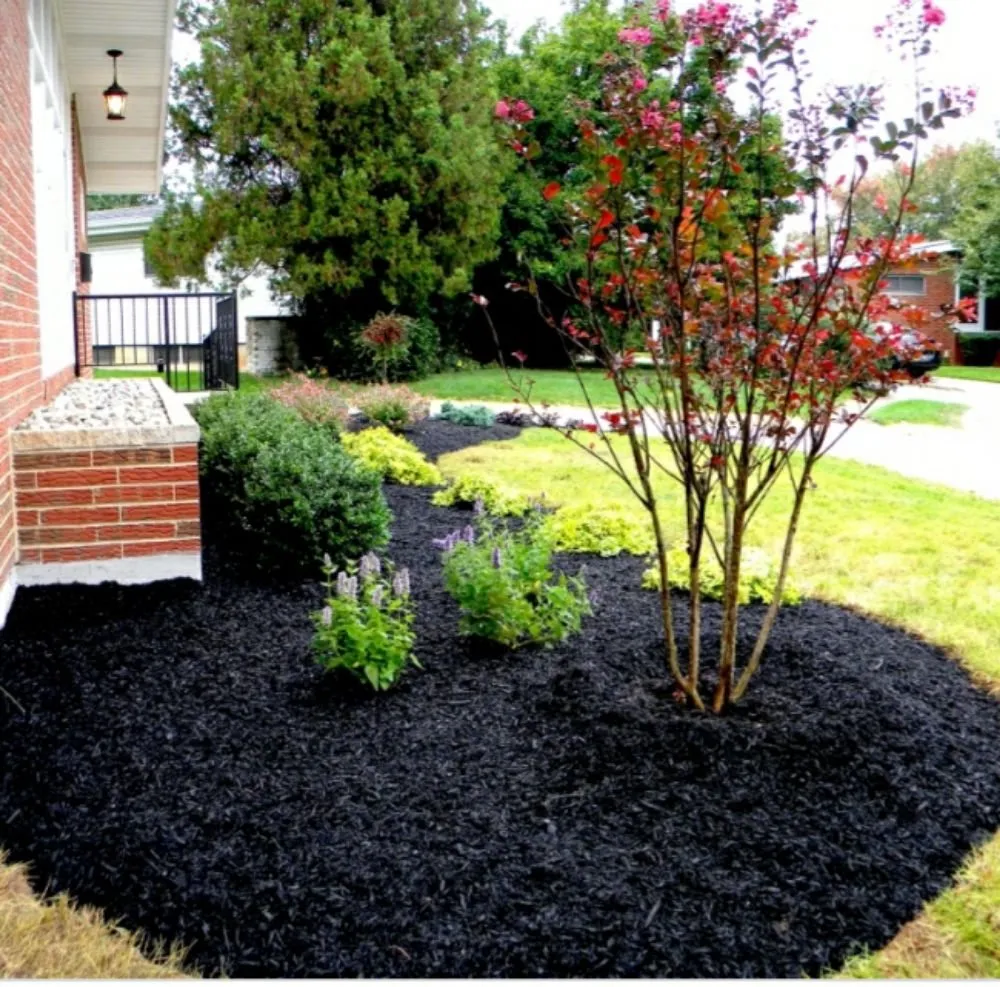 Professional landscaping services in Newnan, GA by Country Cuttin Lawn Service