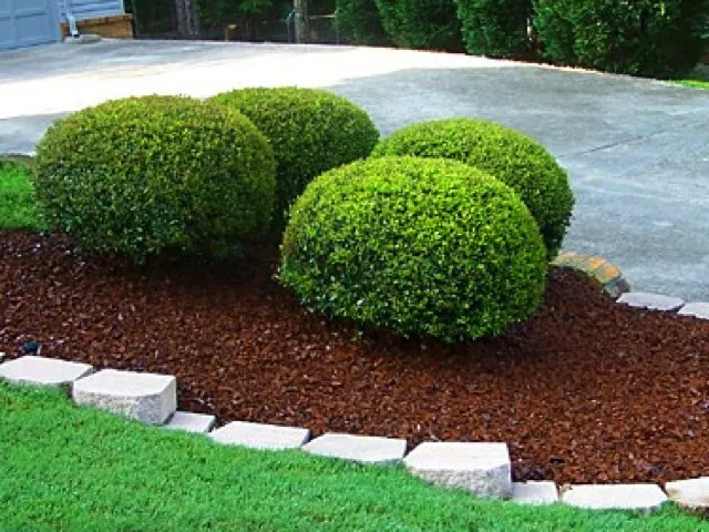 Trusted lawn care service in Newnan, GA - Country Cuttin Lawn Service