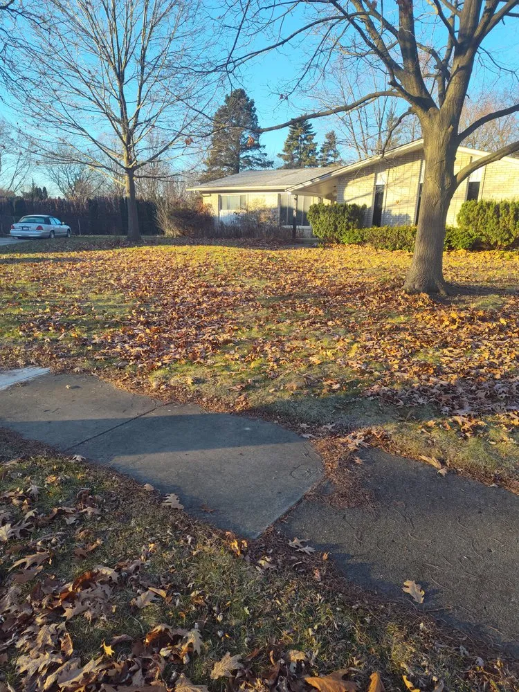 Trusted outdoor landscaping experts serving Pontiac, MI - Country Cutz