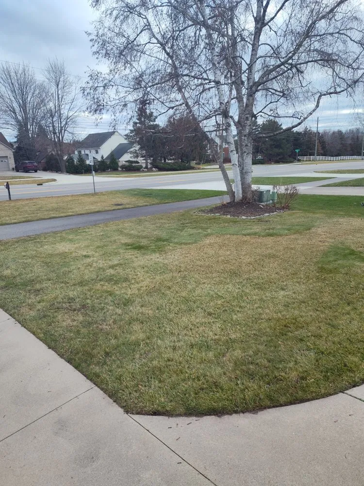 Custom lawn mowing service for year-round maintenance across Pontiac, MI - Country Cutz