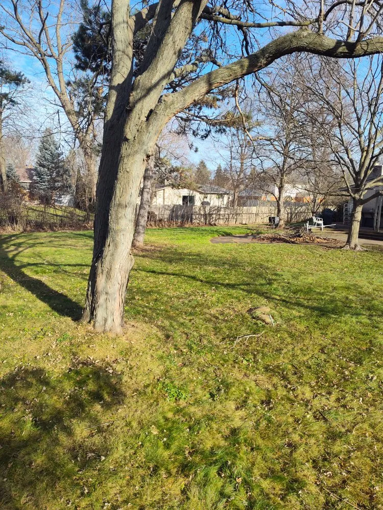 Expert residential landscaping in Pontiac, MI - Country Cutz