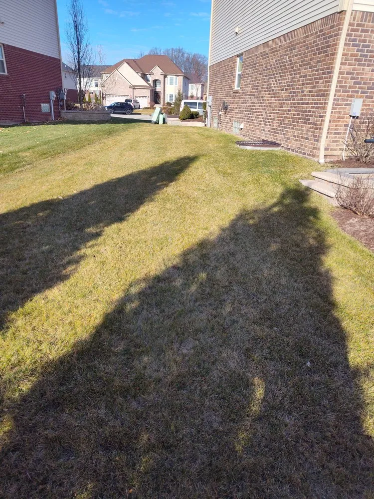 Expert yard cleanup service in Pontiac, MI - Country Cutz