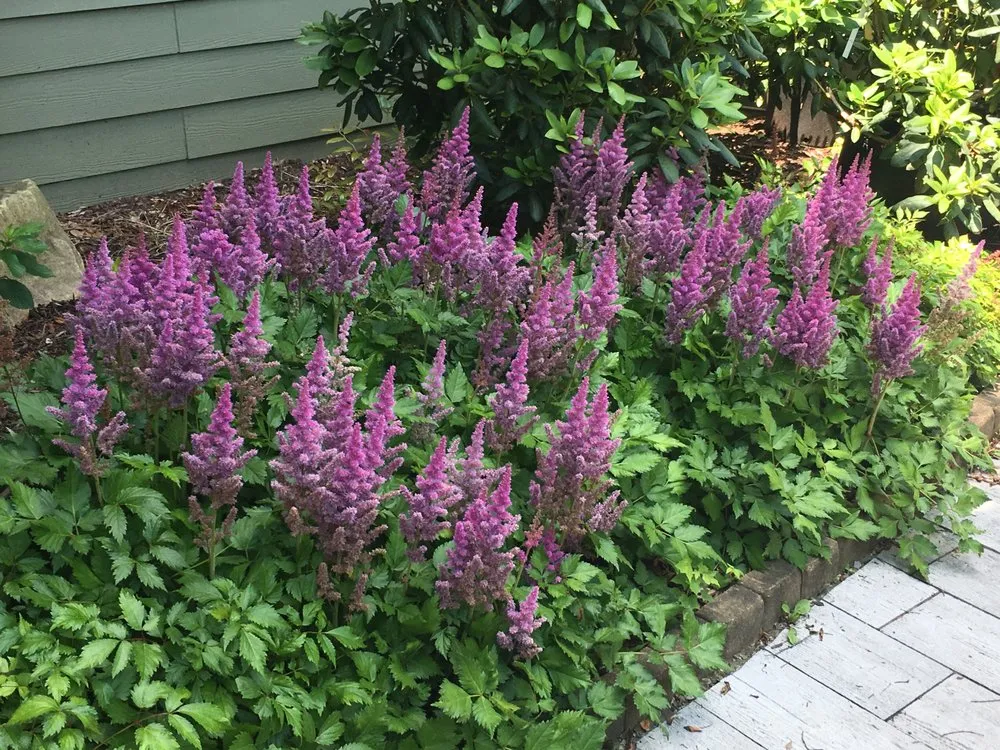 Local landscape installation in Greensburg, PA - Country Farms