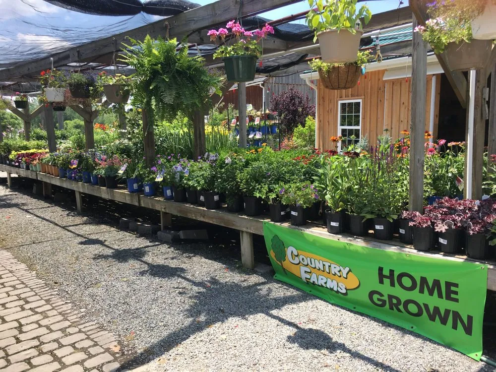 Expert landscape design near you in Greensburg, PA by Country Farms