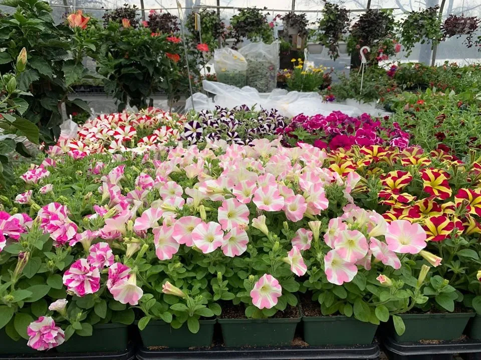 Custom lawn mowing service for outdoor upgrades in Greensburg, PA by Country Farms