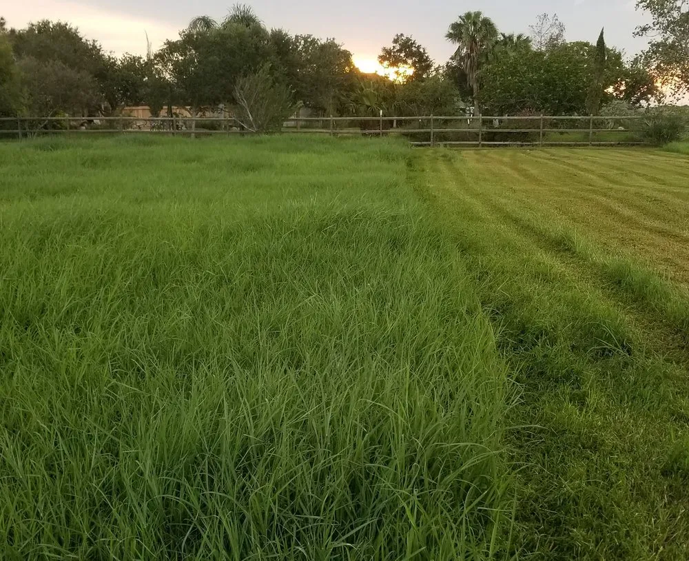 Local garden landscaping in Corpus Christi, TX - COUNTRY FRIED LANDSCAPING AND SERVICES