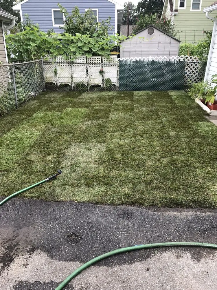 Affordable yard cleanup service experts serving Bergenfield, NJ - Country Green Landscaping