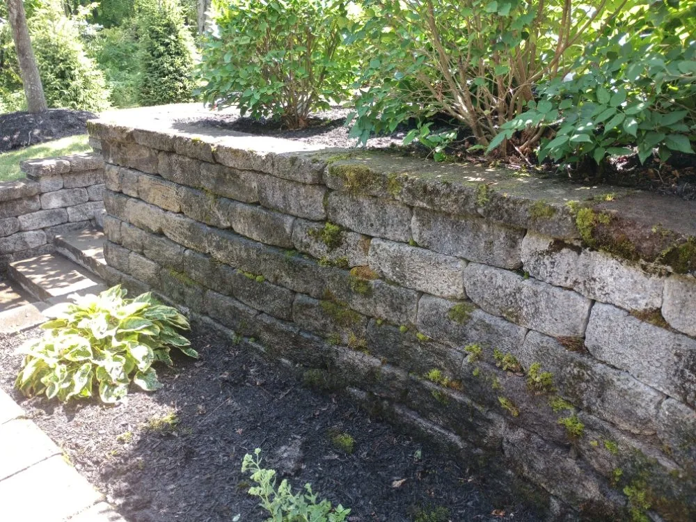 Expert yard cleanup service in Coeymans Hollow, NY - Country Green Lawn and Landscape