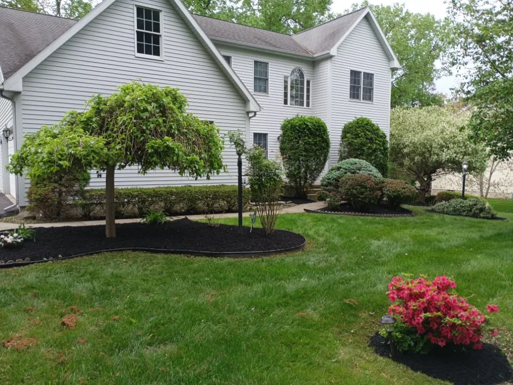 Reliable yard cleanup service experts serving Coeymans Hollow, NY - Country Green Lawn and Landscape