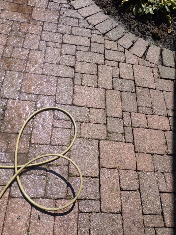 Professional outdoor landscaping in Coeymans Hollow, NY - Country Green Lawn and Landscape