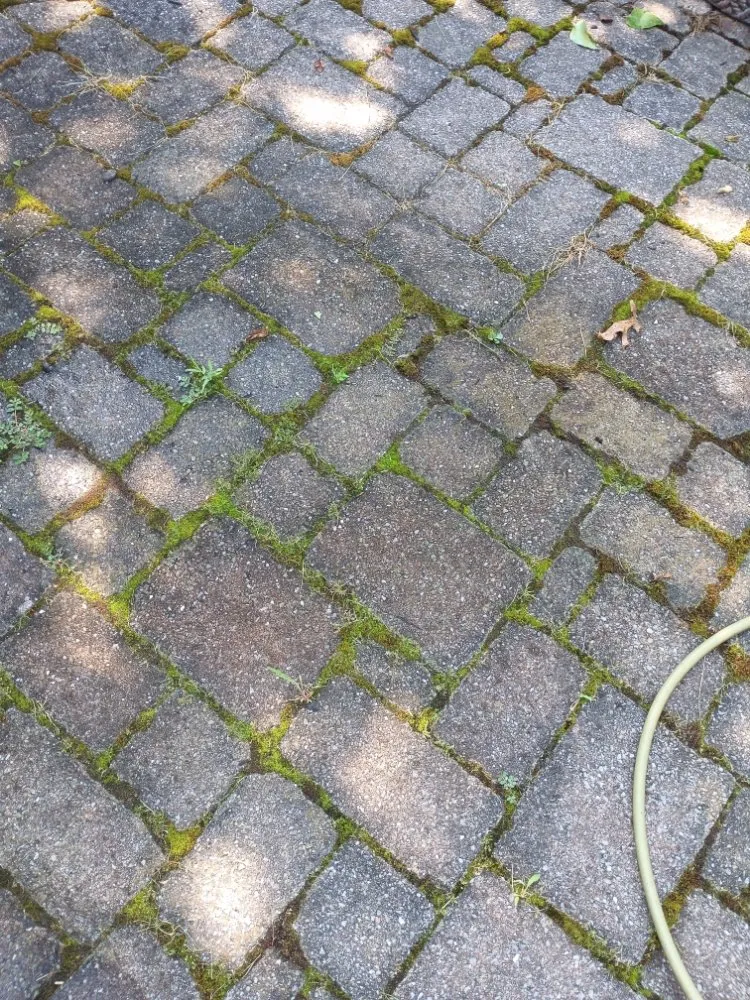 Trusted landscape installation experts serving Coeymans Hollow, NY - Country Green Lawn and Landscape