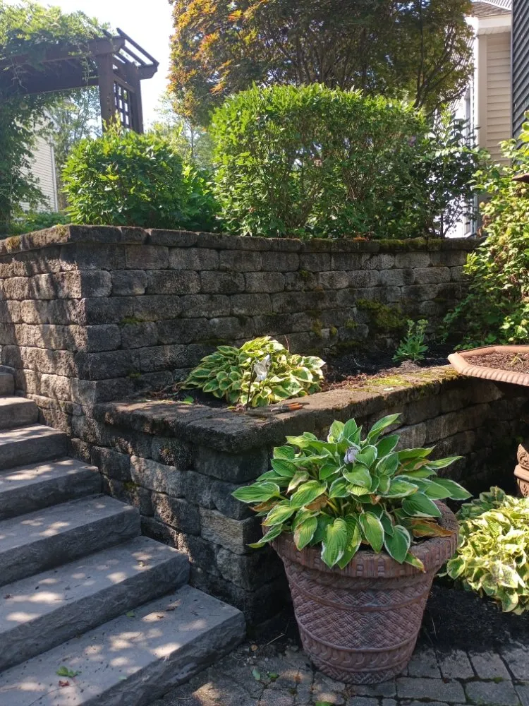 Reliable landscape installation for residential properties in Coeymans Hollow, NY by Country Green Lawn and Landscape