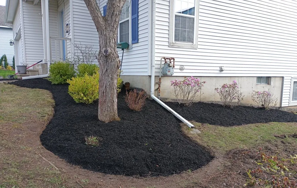 Affordable lawn mowing service near you in Coeymans Hollow, NY by Country Green Lawn and Landscape