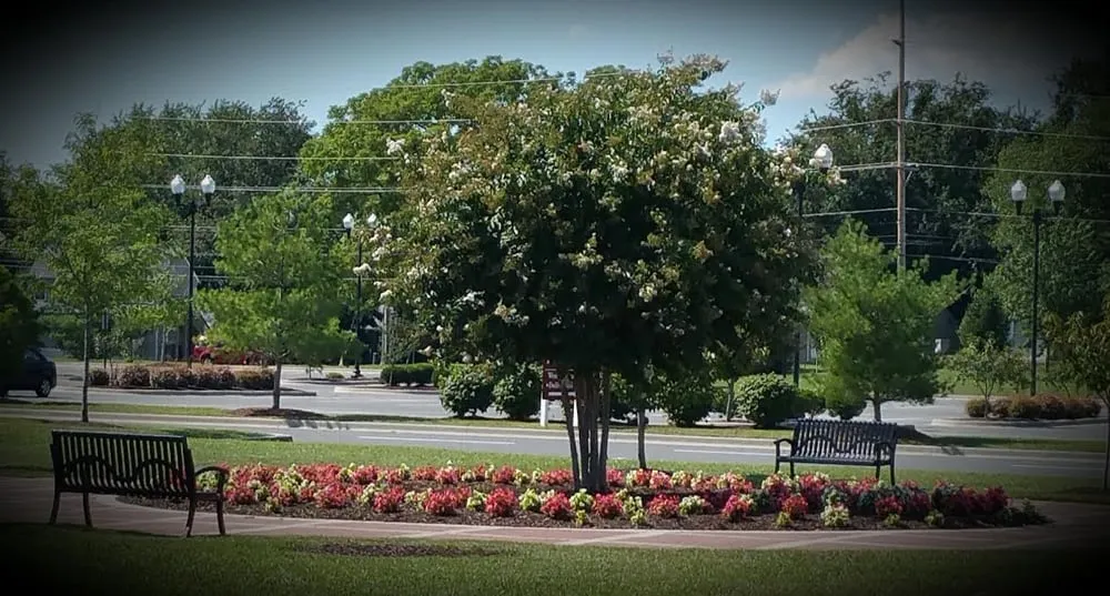 Custom yard maintenance for outdoor upgrades across Smyrna, DE - Country Green Professional Landscaping