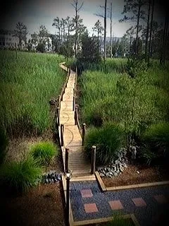 Custom yard maintenance for homes in Smyrna, DE by Country Green Professional Landscaping