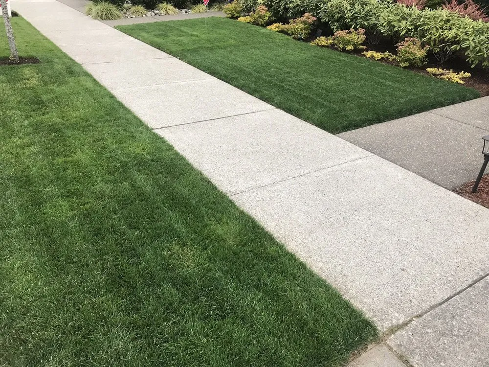 Top-rated yard maintenance in Arlington, WA - Country Green Turf Farms