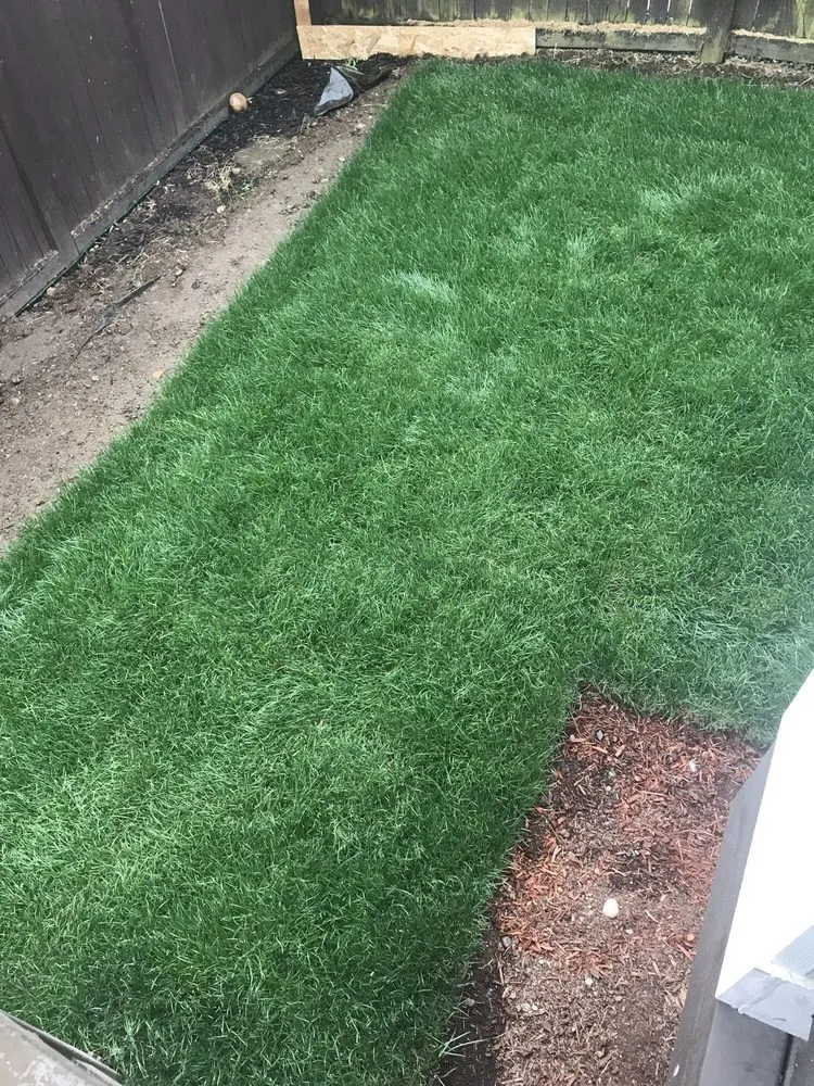 Reliable residential landscaping in Arlington, WA - Country Green Turf Farms