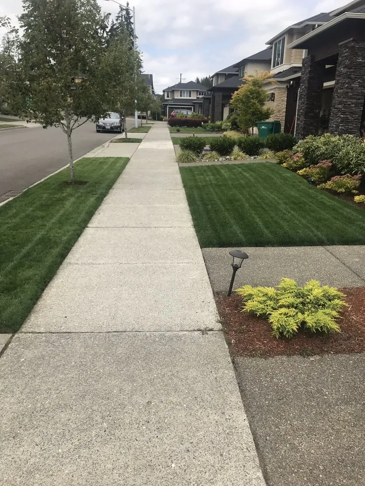 Expert yard maintenance in Arlington, WA by Country Green Turf Farms