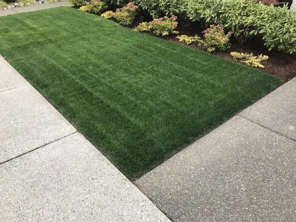 Local residential landscaping in Arlington, WA by Country Green Turf Farms