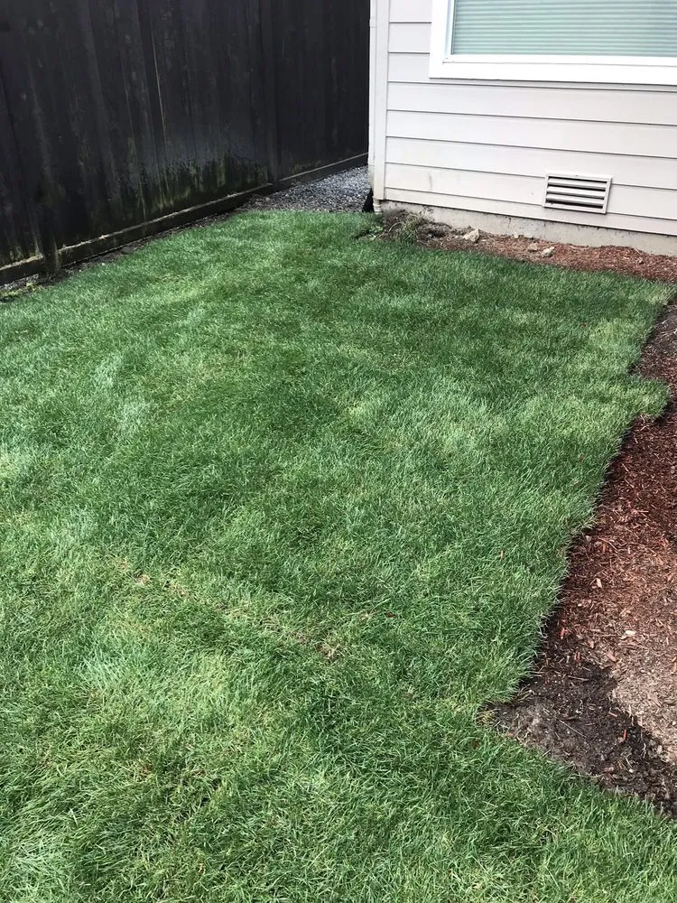 Top-rated lawn mowing service in Arlington, WA - Country Green Turf Farms