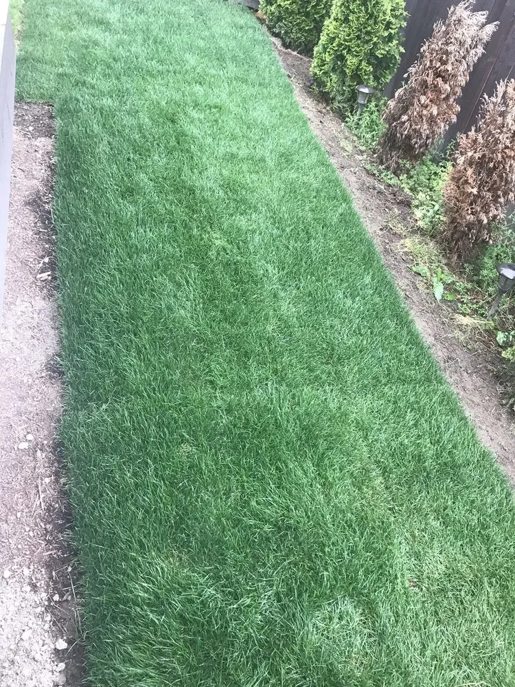 Reliable landscaping services for beautiful yards in Arlington, WA by Country Green Turf Farms