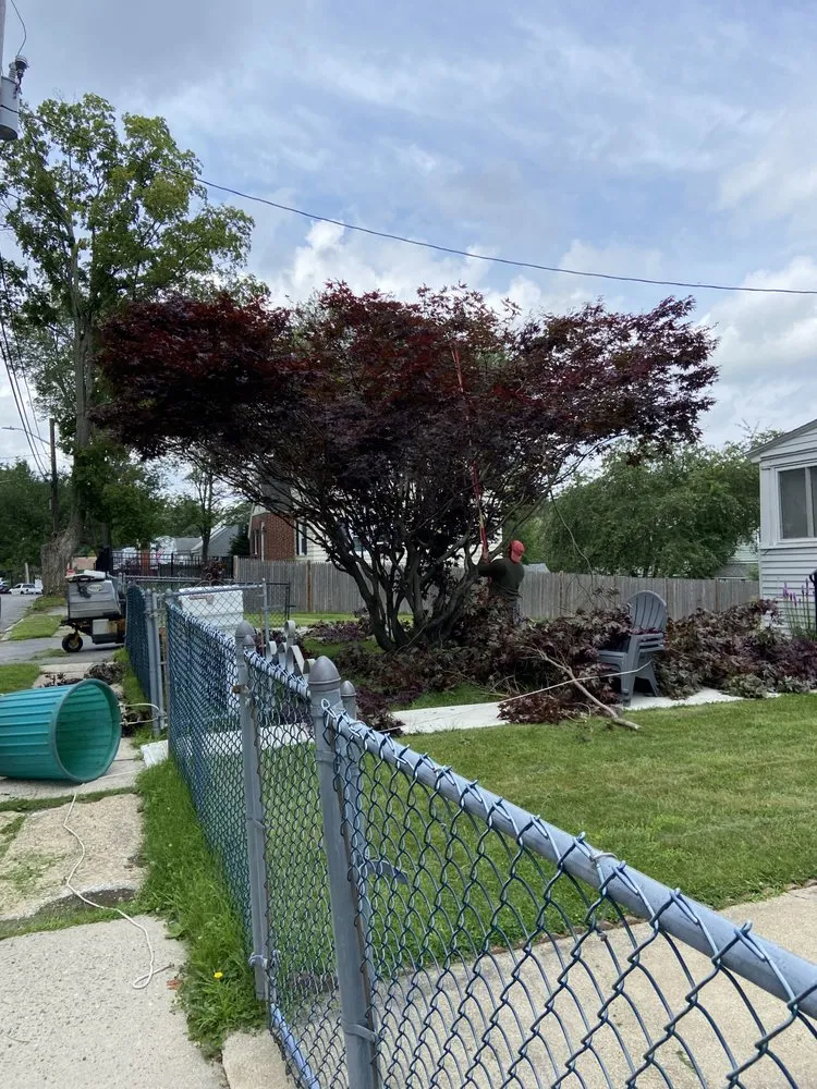 Expert landscape design for homes across Methuen, MA - Country Group Landscaping