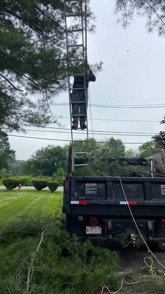 Top-rated yard maintenance for beautiful yards across Methuen, MA - Country Group Landscaping