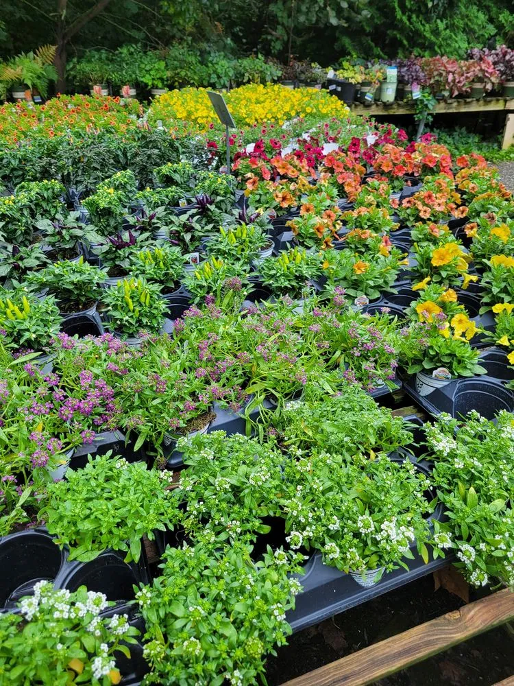 Expert landscape installation in Brownsburg, IN - Country Harmony Home & Garden Center