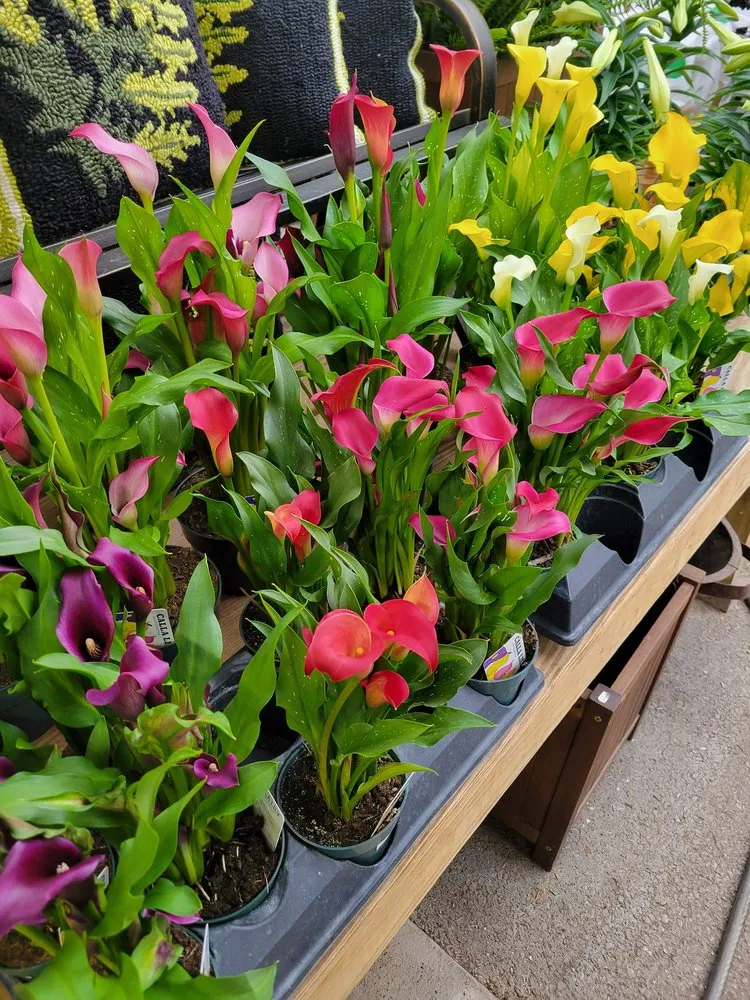 Expert garden landscaping in Brownsburg, IN by Country Harmony Home & Garden Center