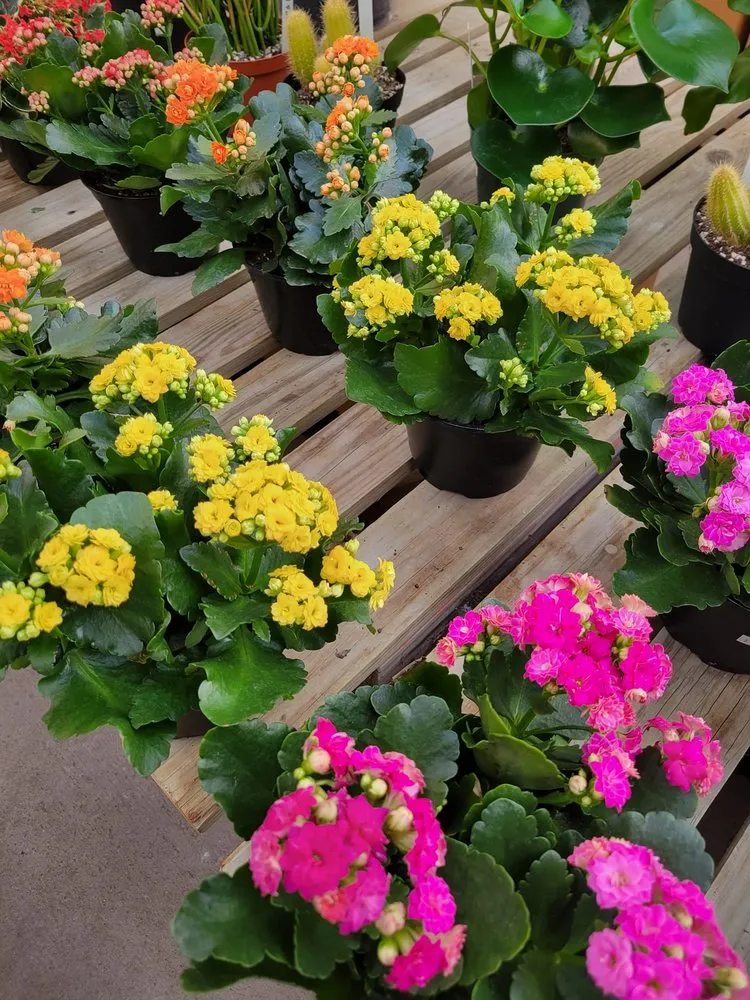 Affordable yard maintenance for homes in Brownsburg, IN by Country Harmony Home & Garden Center