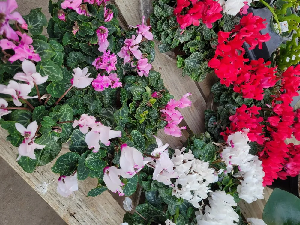 Reliable residential landscaping in Brownsburg, IN - Country Harmony Home & Garden Center