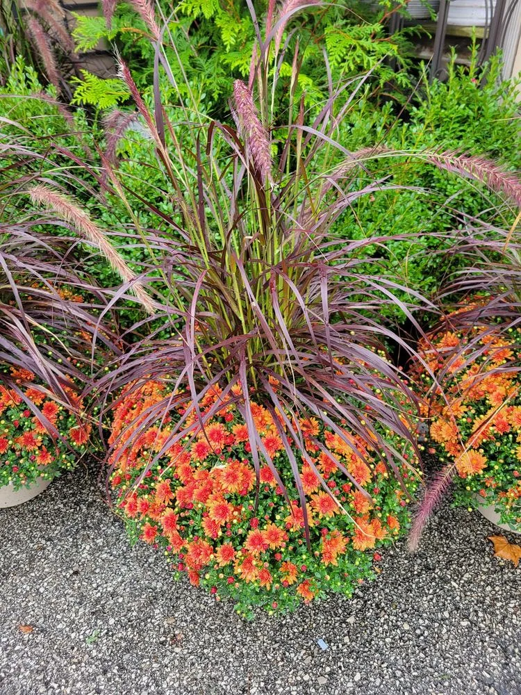 Expert landscape design in Brownsburg, IN by Country Harmony Home & Garden Center