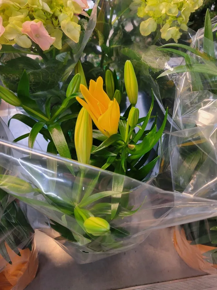 Reliable residential landscaping in Brownsburg, IN by Country Harmony Home & Garden Center