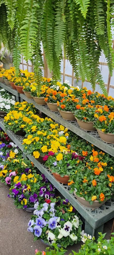 Affordable lawn care service for outdoor upgrades across Brownsburg, IN - Country Harmony Home & Garden Center