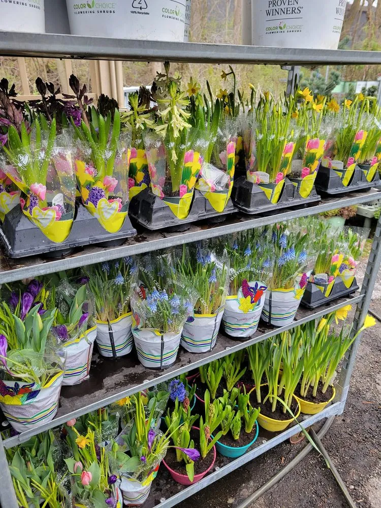 Professional landscape design for residential properties across Brownsburg, IN - Country Harmony Home & Garden Center