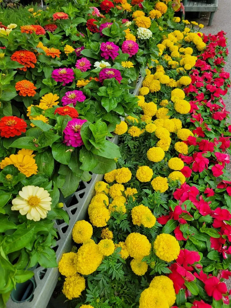 Trusted residential landscaping for year-round maintenance in Brownsburg, IN by Country Harmony Home & Garden Center