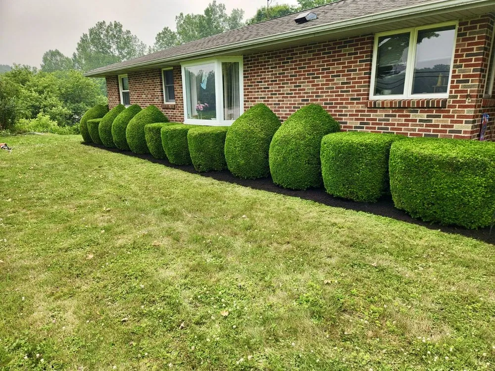 Professional yard cleanup service for outdoor upgrades across Delevan, NY - Country Hills Lawn Care