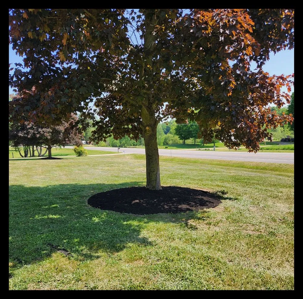 Reliable lawn care service for outdoor upgrades in Delevan, NY by Country Hills Lawn Care