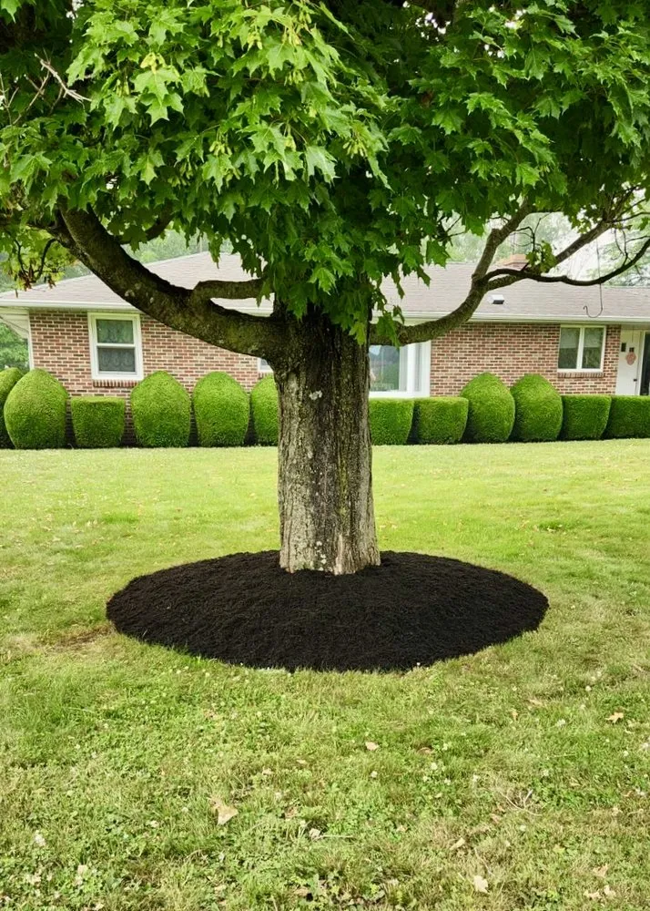 Affordable landscaping services for outdoor upgrades across Delevan, NY - Country Hills Lawn Care