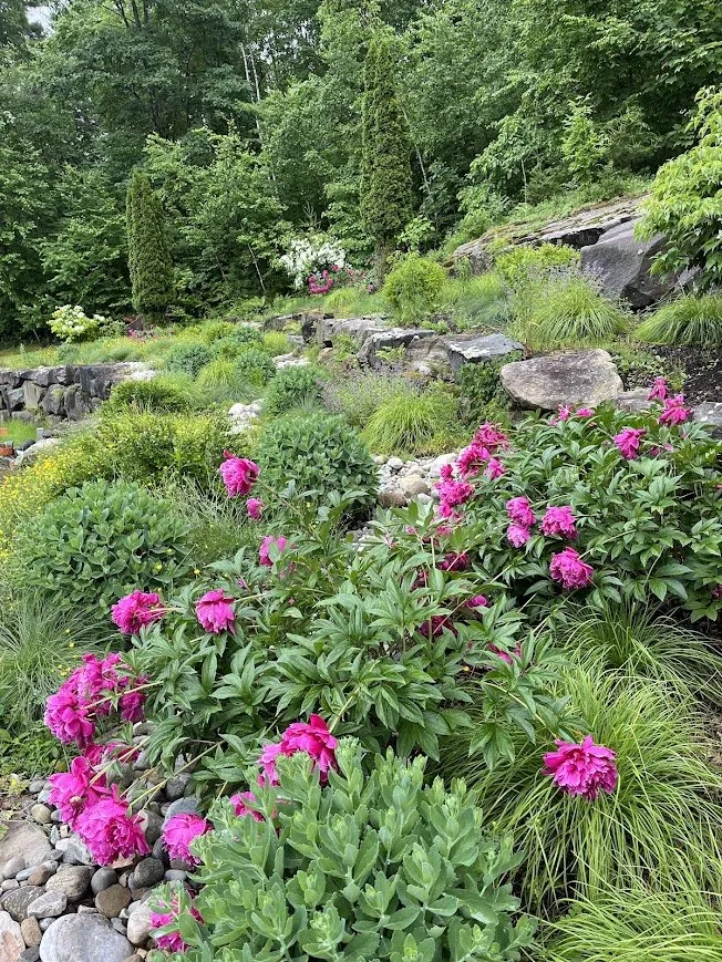 Expert residential landscaping for year-round maintenance in Queensbury, NY by Country Home Landscapes