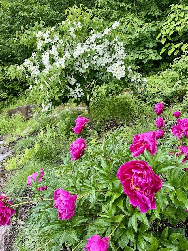 Professional landscaping services with custom design across Queensbury, NY - Country Home Landscapes