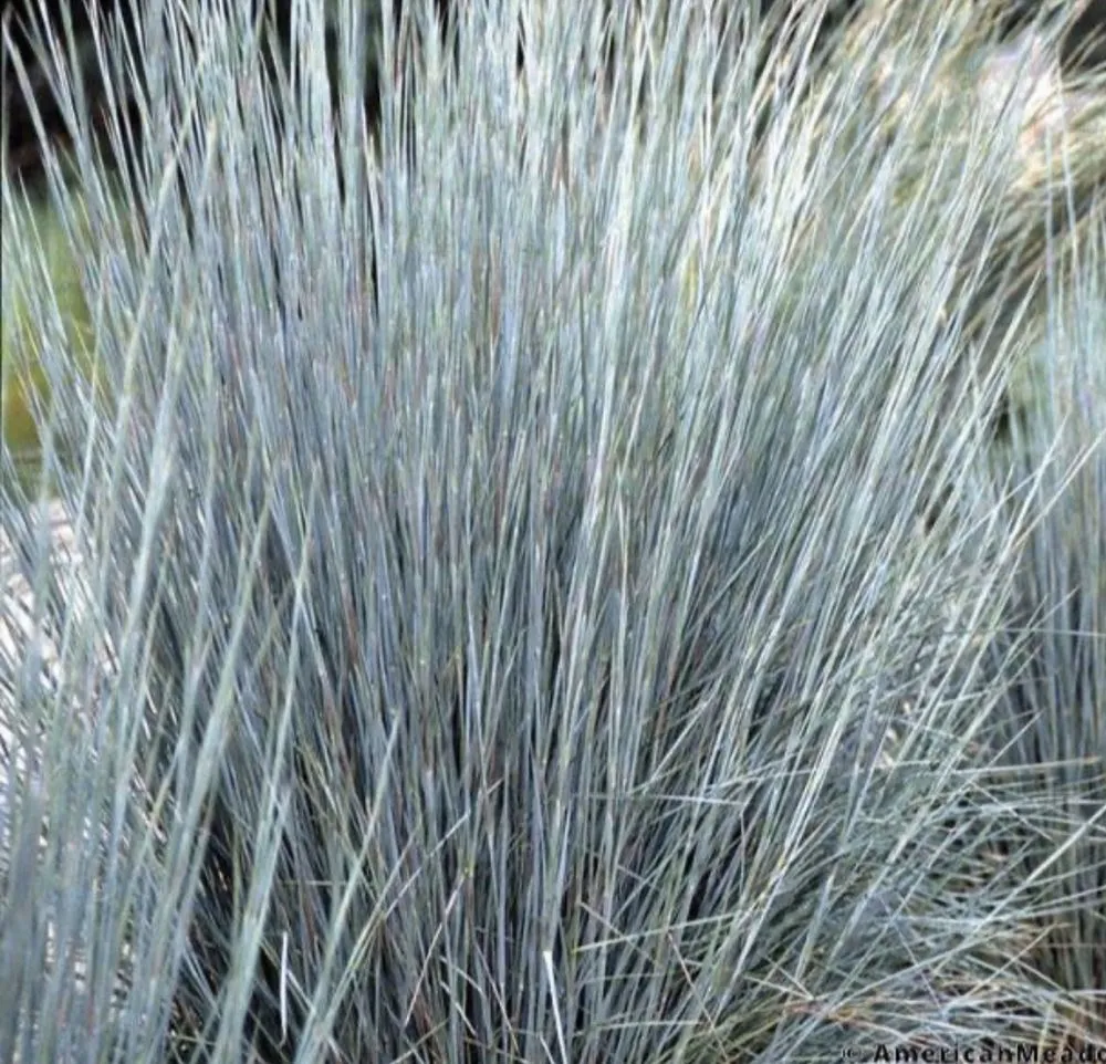 Reliable landscaping services for beautiful yards in Yutan, NE by Country Inspired Landscapes