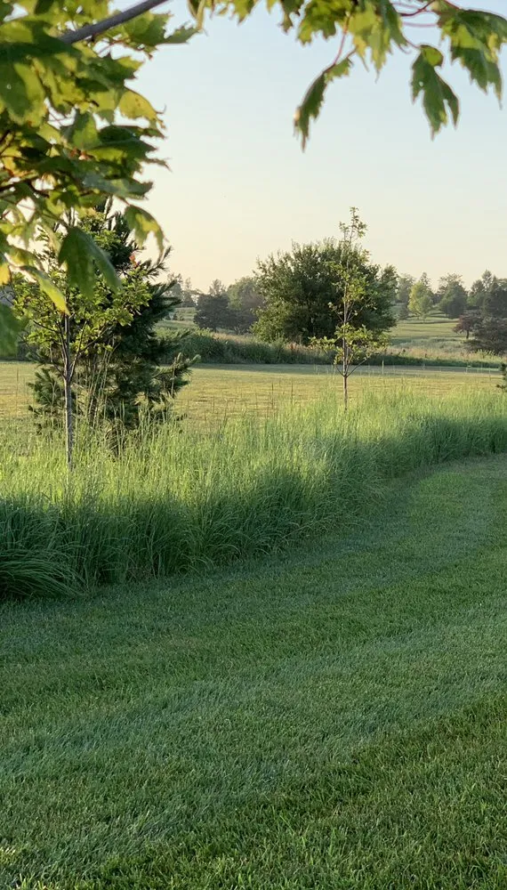 Reliable yard cleanup service experts serving Yutan, NE - Country Inspired Landscapes