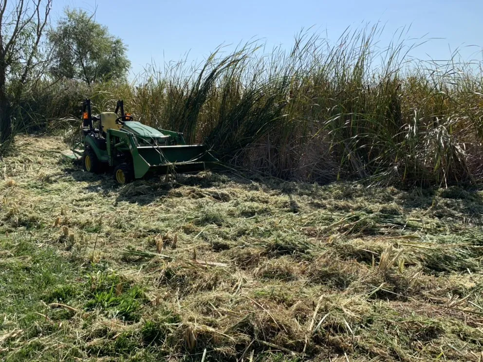 Top-rated residential landscaping in Yutan, NE by Country Inspired Landscapes