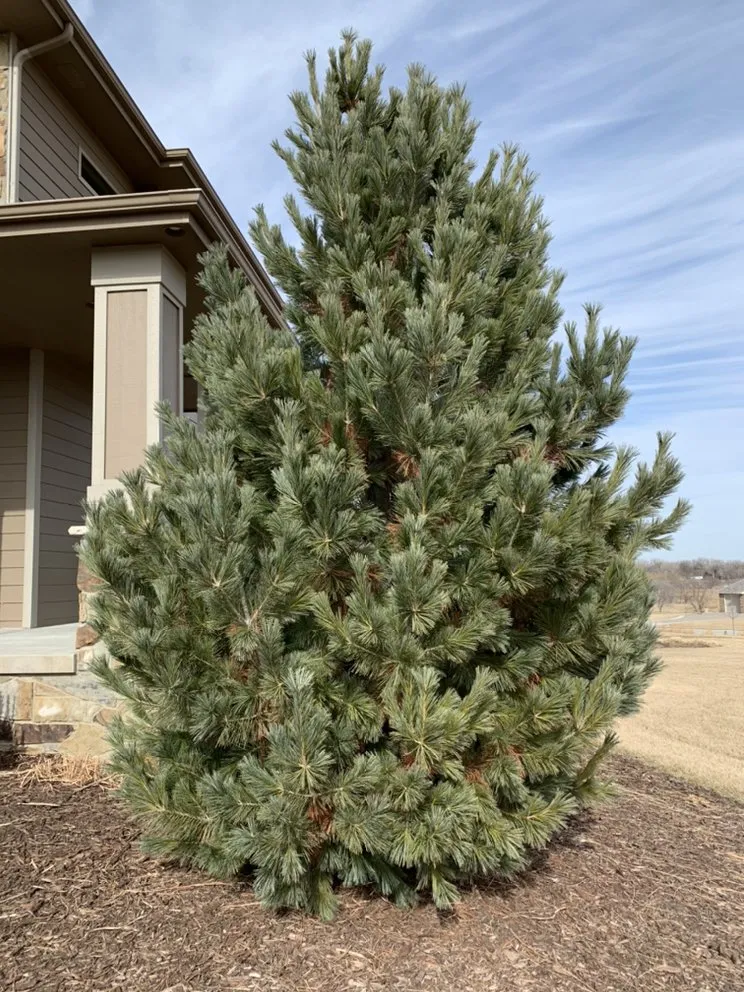 Expert outdoor landscaping in Yutan, NE by Country Inspired Landscapes