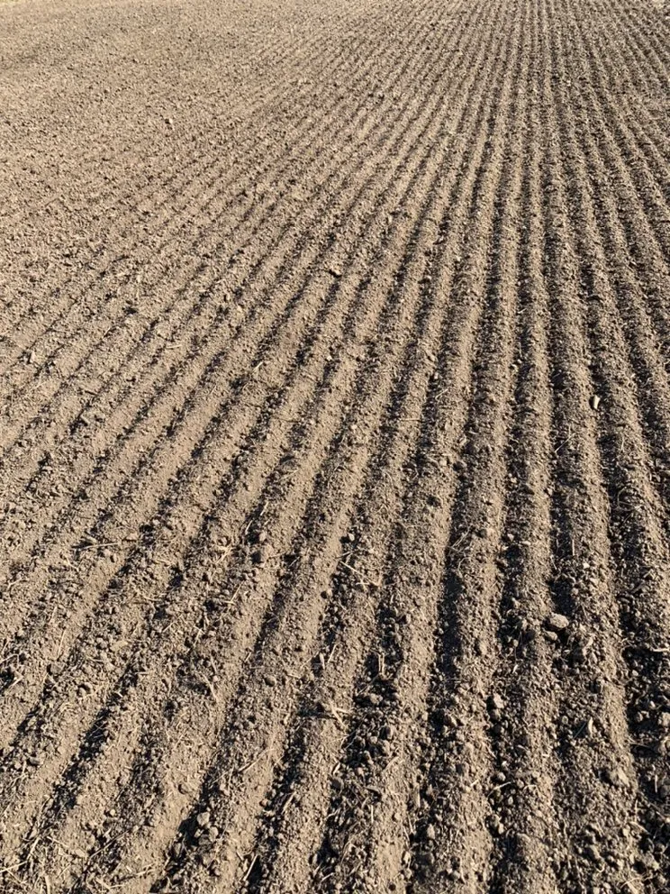 Reliable outdoor landscaping for year-round maintenance in Yutan, NE by Country Inspired Landscapes